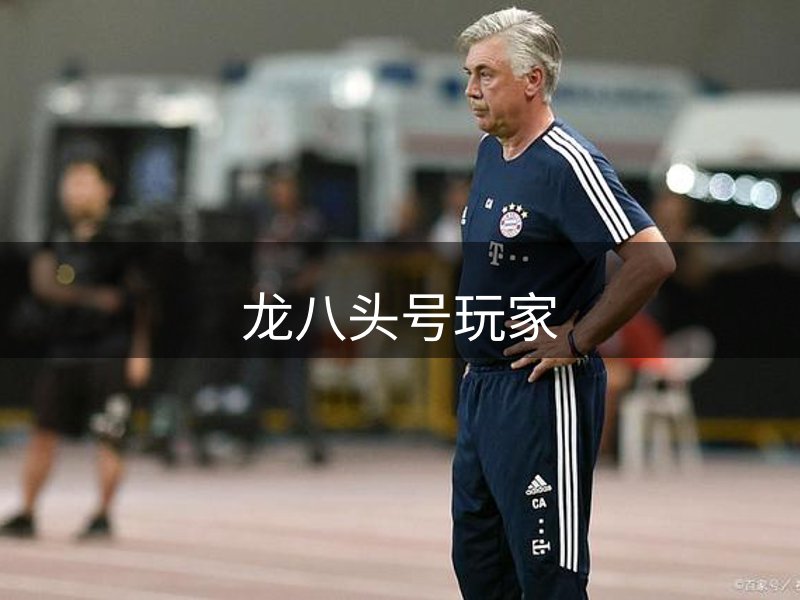 龙八头号玩家介绍